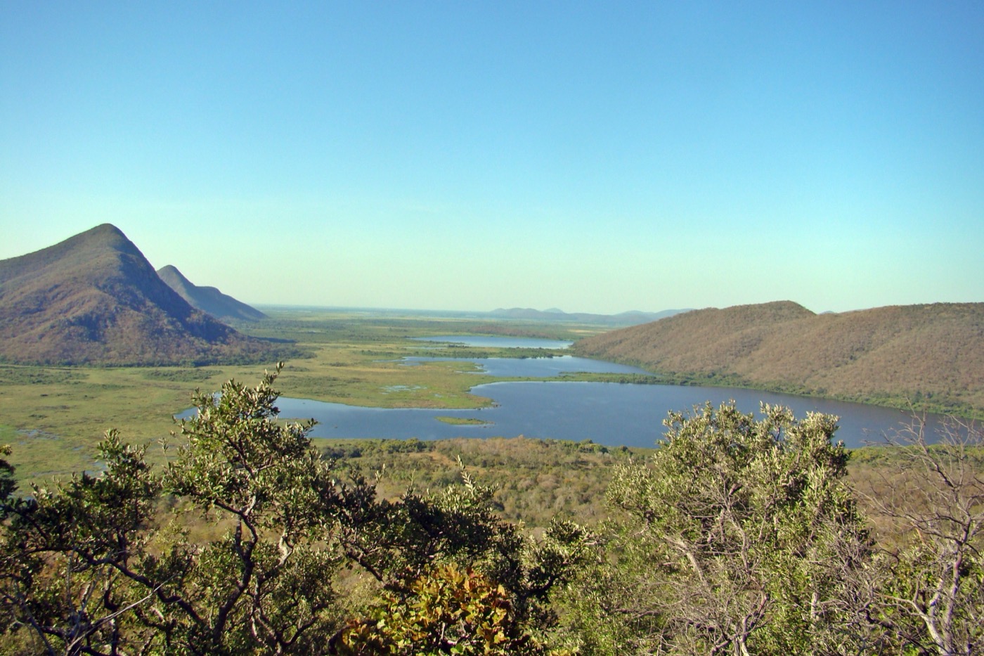 Pantanal